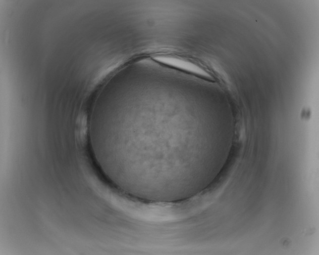 X0000092030024200709201621