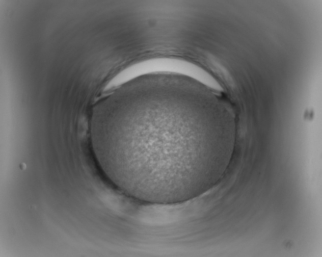 X0000092030025200709201621