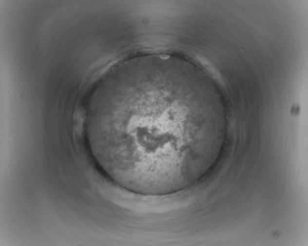 X0000092030026200709201621