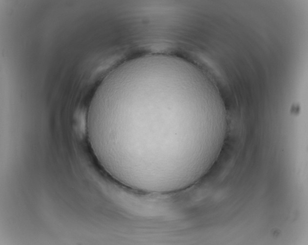 X0000092030028200709201621