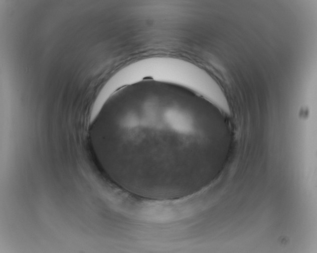 X0000092030029200709201621