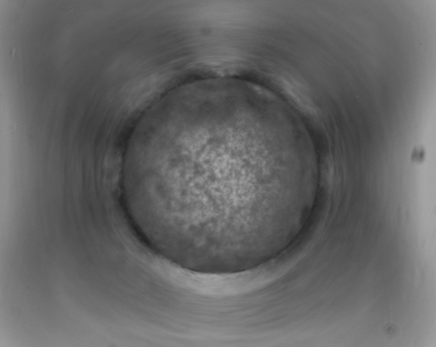 X0000092030030200709201621