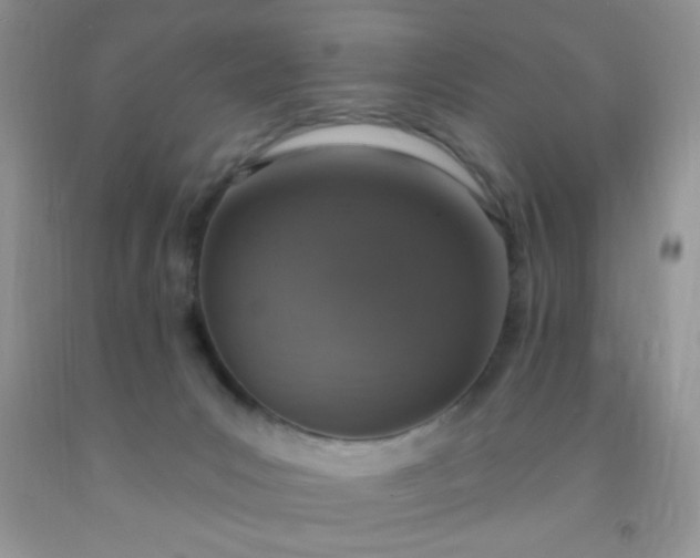 X0000092030031200709201621