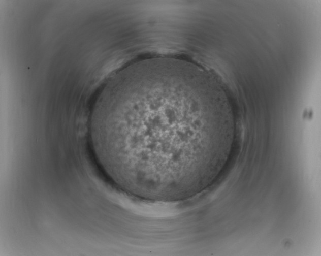 X0000092030032200709201621