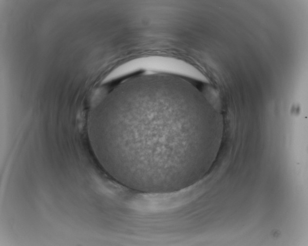 X0000092030033200709201621