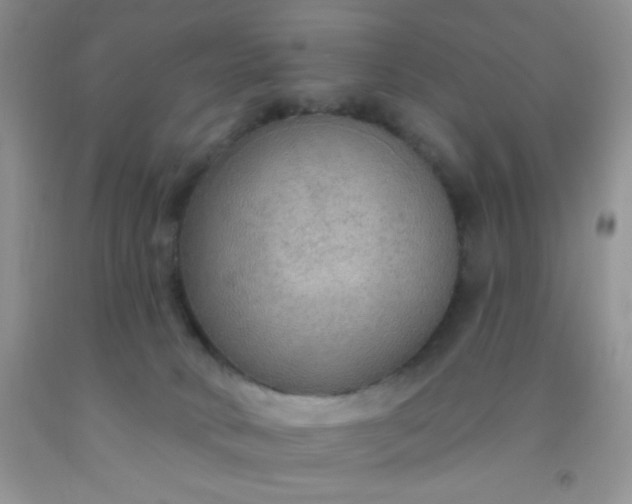 X0000092030034200709201621