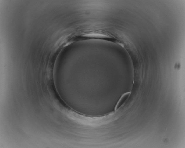 X0000092030035200709201621