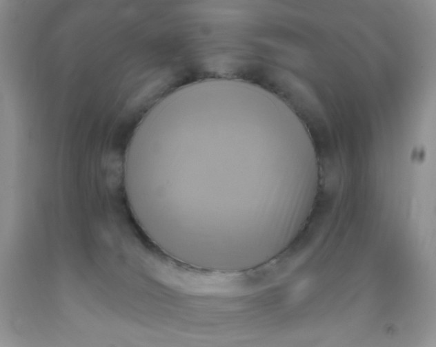 X0000092030036200709201621