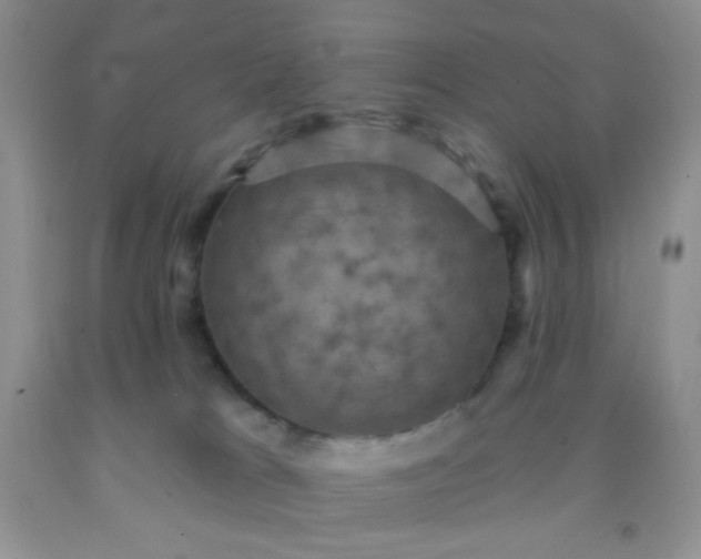 X0000092030037200709201621