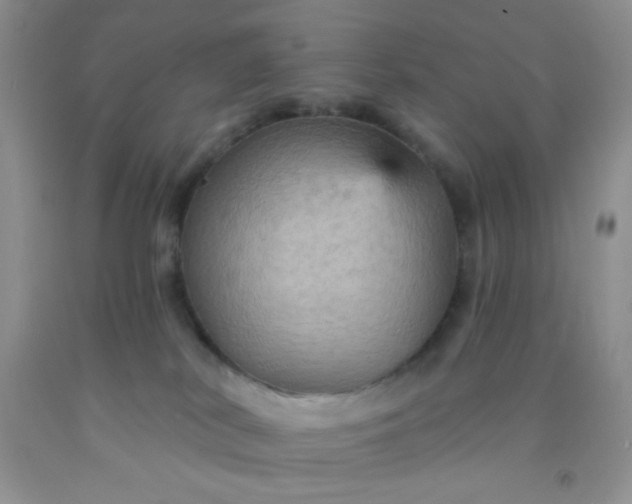 X0000092030038200709201621