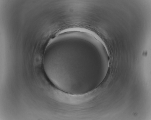 X0000092030039200709201621