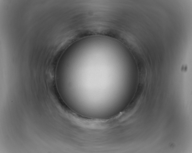 X0000092030040200709201621