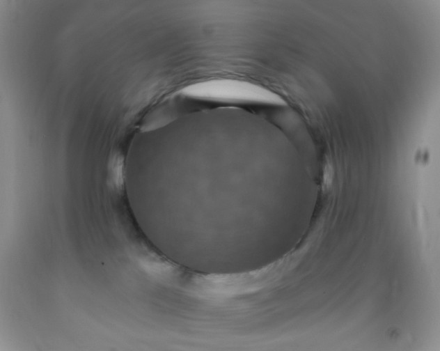 X0000092030041200709201621