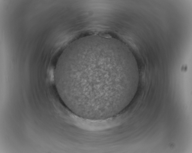 X0000092030042200709201621