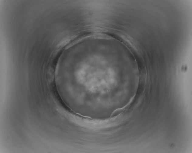 X0000092030043200709201621