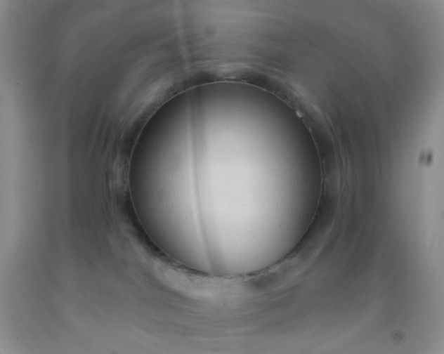 X0000092030044200709201621