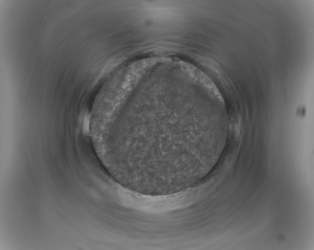 X0000092030046200709201621