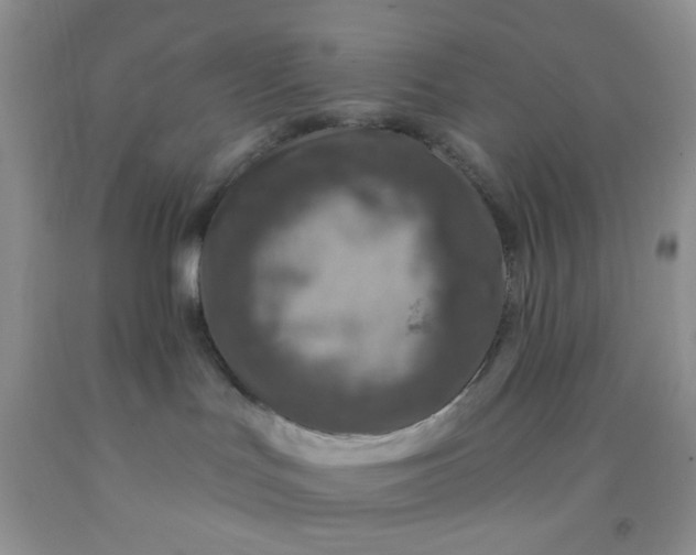 X0000092030047200709201621