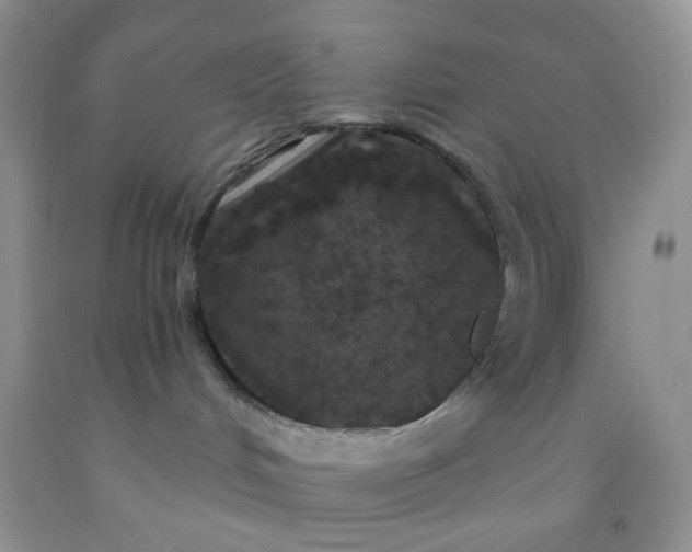 X0000092030048200709201621