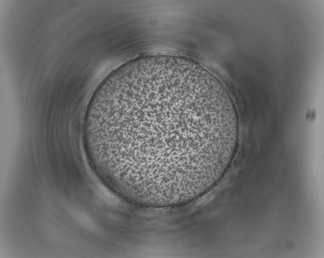 X0000092030049200709201620