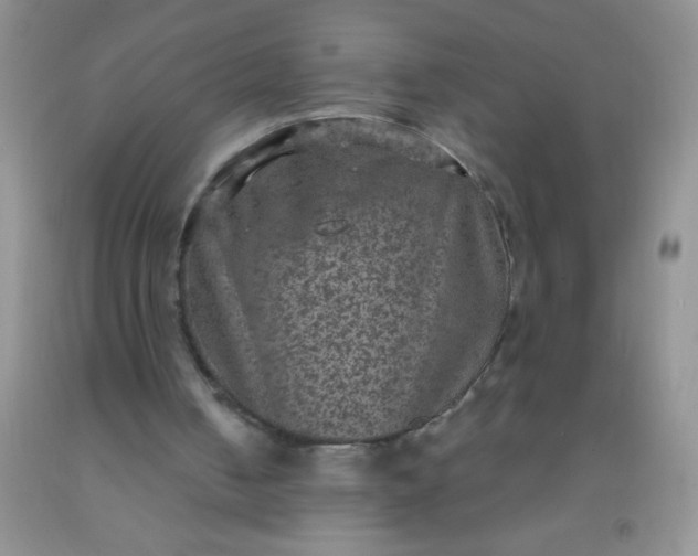 X0000092030050200709201620