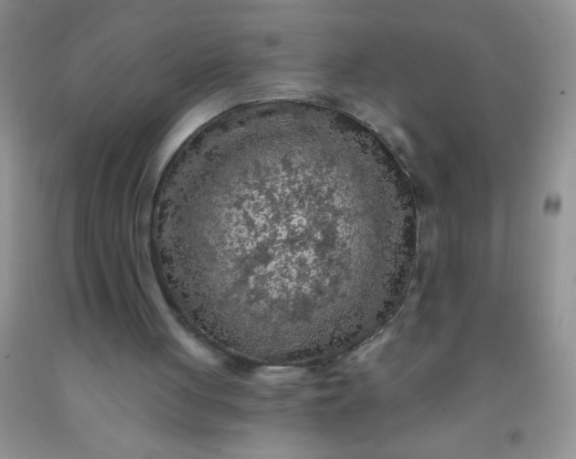 X0000092030051200709201620