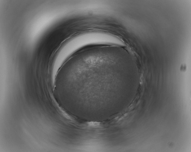 X0000092030052200709201620