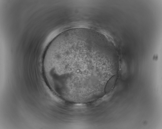 X0000092030053200709201620