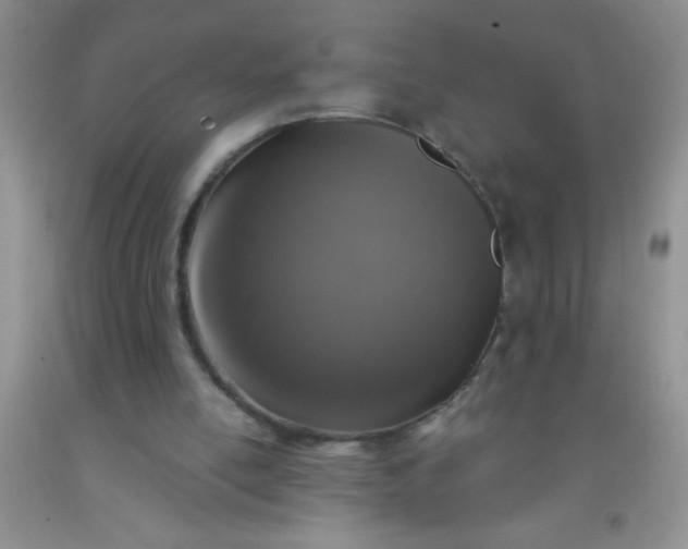 X0000092030054200709201620