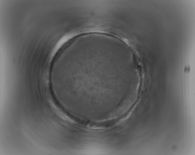 X0000092030056200709201620