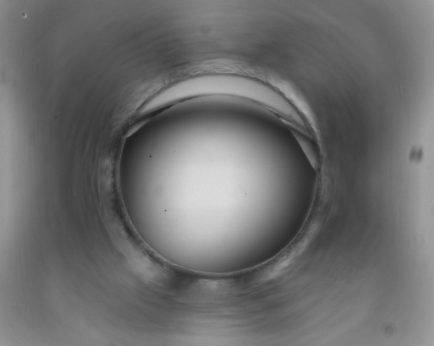 X0000092030057200709201620