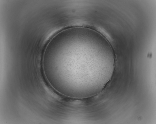 X0000092030058200709201620