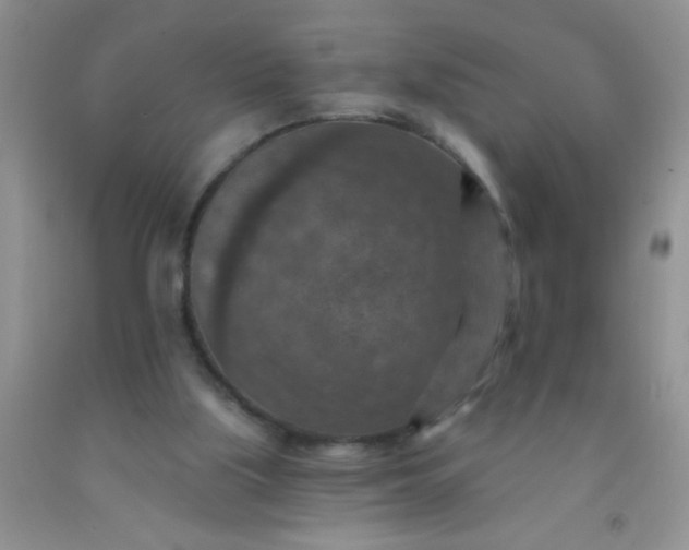 X0000092030059200709201620