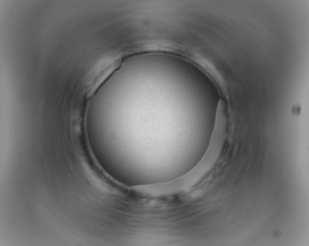 X0000092030060200709201620