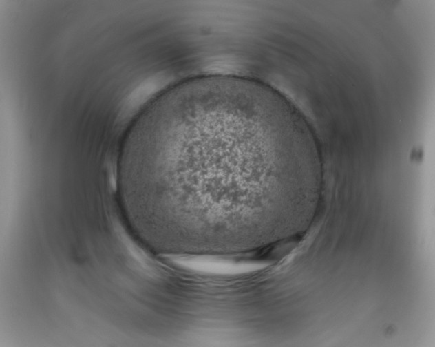 X0000092030062200709201620