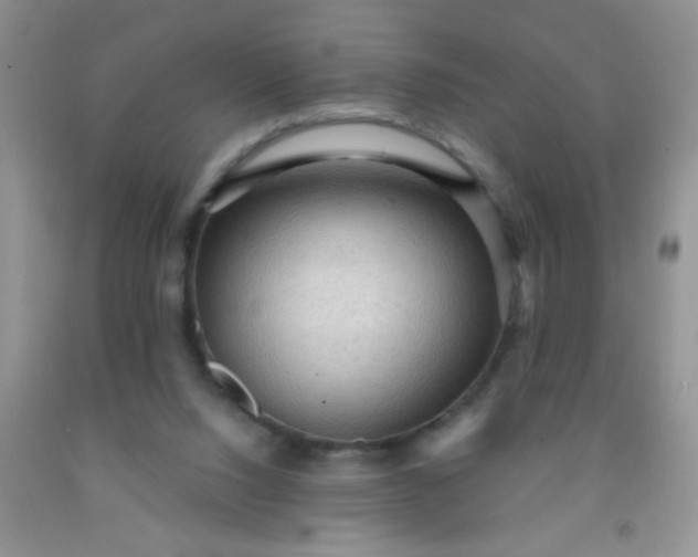 X0000092030064200709201620