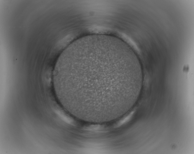 X0000092030065200709201620