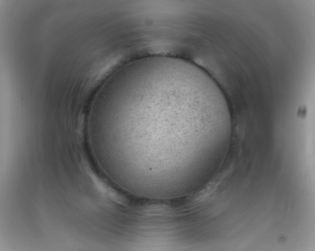 X0000092030066200709201620