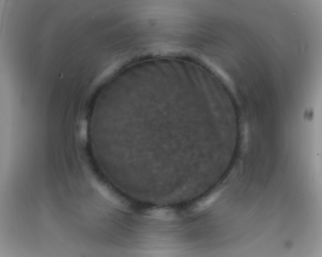 X0000092030067200709201621