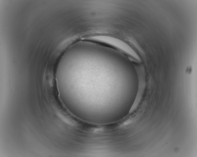 X0000092030068200709201621