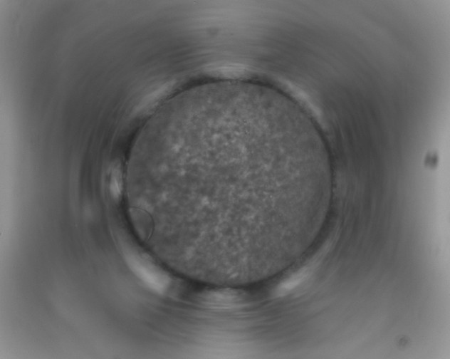 X0000092030069200709201621