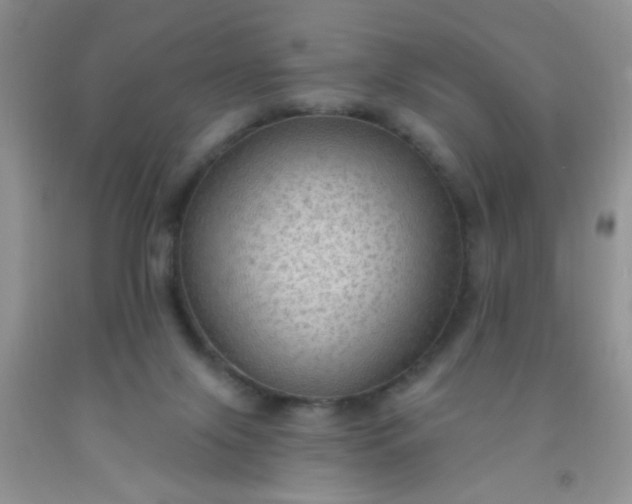 X0000092030071200709201621