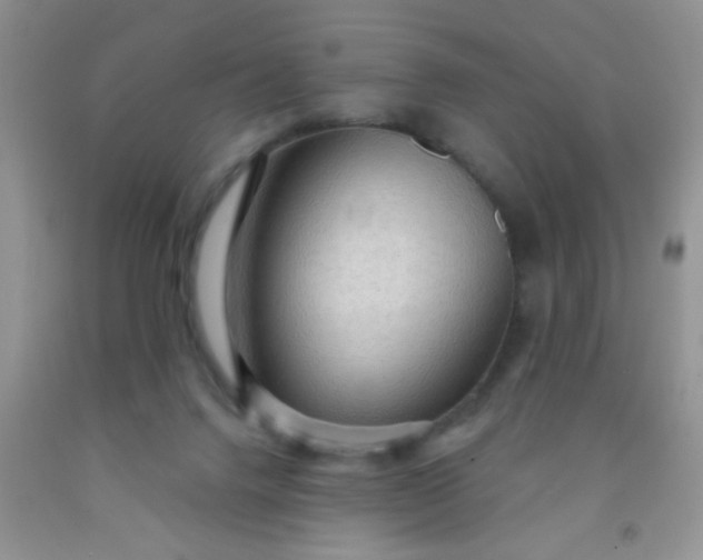 X0000092030072200709201621