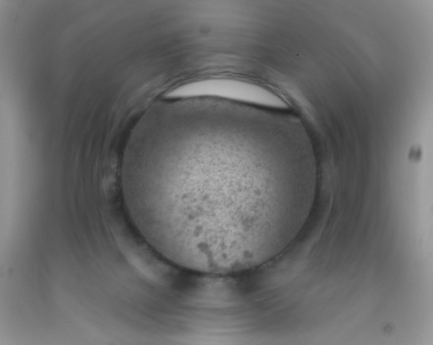 X0000092030073200709201621