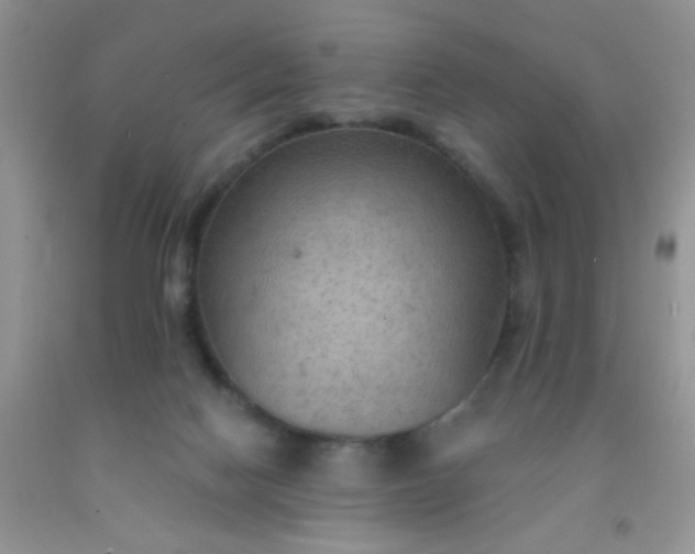 X0000092030074200709201621