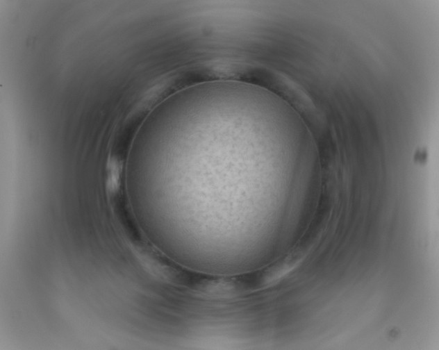 X0000092030075200709201621