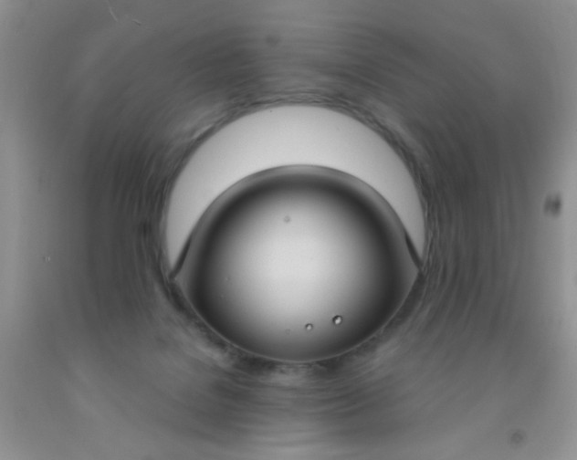 X0000092030076200709201621