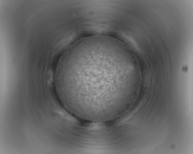 X0000092030077200709201621