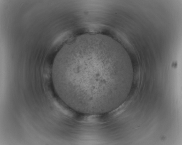 X0000092030078200709201621