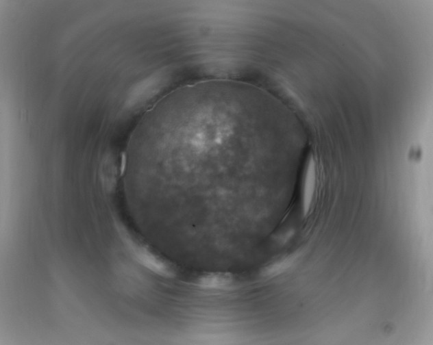 X0000092030080200709201621